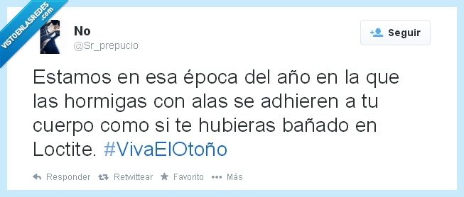 otoño,hormigas,twitter,bichos,animales