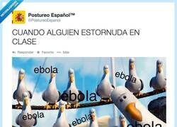 Enlace a Cuando alguien estornuda en clase por @PostureoEspanol