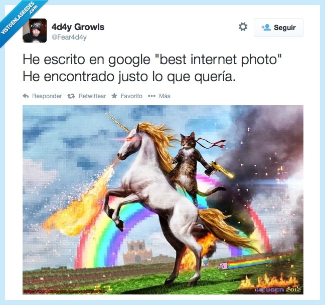 de internet,mejor,arcoíris,unicornio,gato,foto,internet,best
