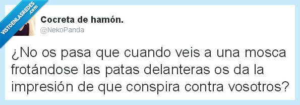 twitter,nekopanda,moscas,patas,conspiración,apocalipsis