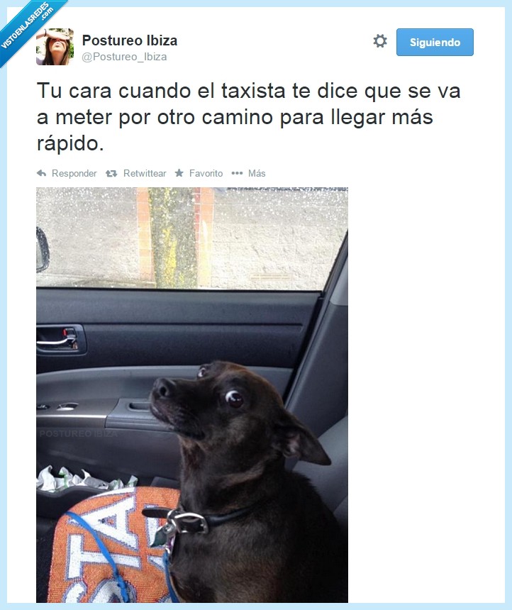 tu,desconfianza,miedo,perro,taxi,cara,susto,calle,rapido