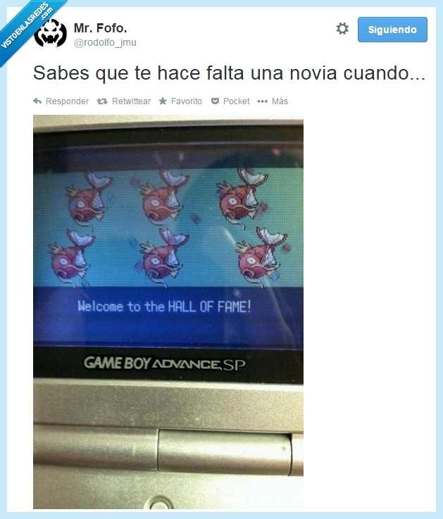Magikarp,pokemon,novia,tiempo libre,liga,hall of fame