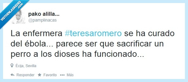 enferma,sacrificar,excalibur,perro,sacrificio,ébola,teresa