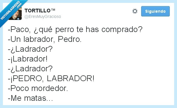 Perro,Pedro,labrador,ladrador,mordedor,Paco,poco