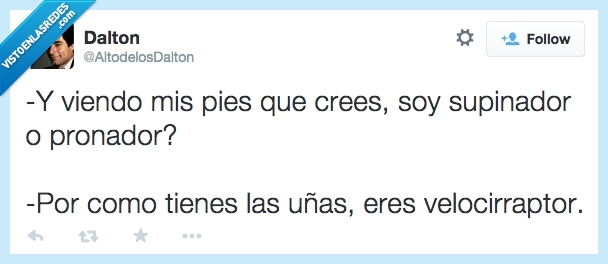 viendo,pies,pronador,supinador,uñas,velocirraptor