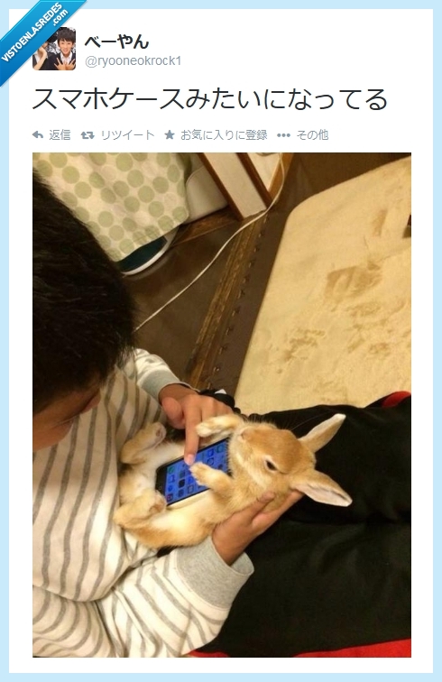 igual habla de matar conejitos pero no lo entendemos,japones,funda,movil,iphone,mascota,apoyar
