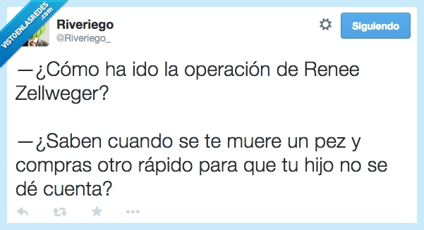 pez,muere,reemplazas,rapido,compras,otro,hijo,cuenta,notar,operacion,renee zellweger