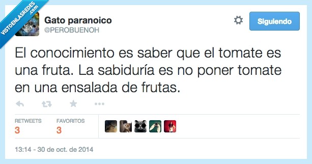 ensalada,sabiduria,conocimiento,tomate,fruta