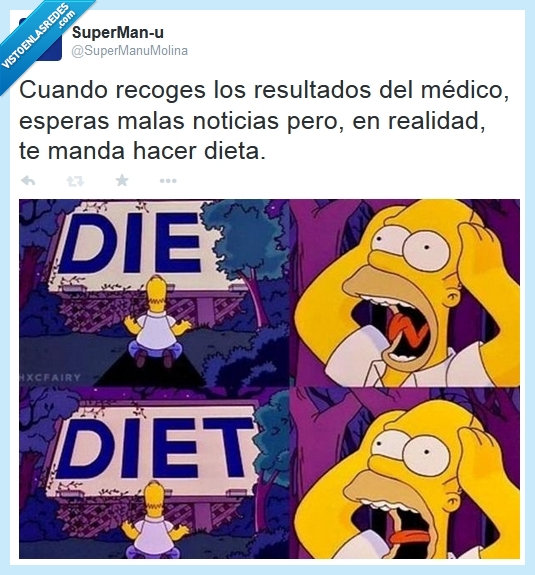 diet,die,homer simpson,los simpsons,dieta,médico