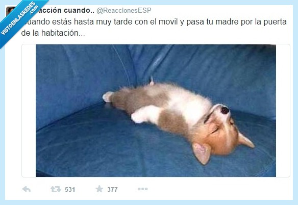 tarde,movil,pasa,madre,padre,cuarto,puerta,habitacion,disimular,hacer,dormido,perro