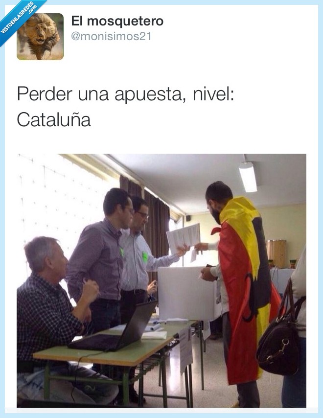 bandera,españa,toro,osborne,votacion,consulta,independencia,votar,voto,urna