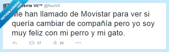feliz,gato,perro,compañia,cambiar,movistar,llamar,llamada,llamado