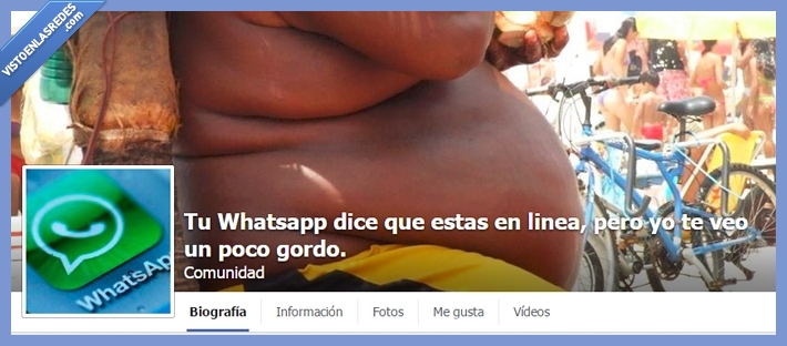 whatsapp,dieta,gordo,delgado,en linea,humor,fans