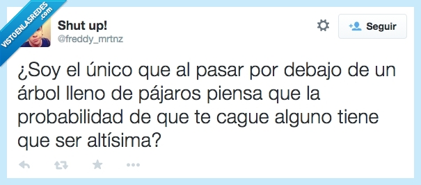 estadística,ave,lleno,peligro,mala suerte,probabilidad,altisima,caca,cague,encima