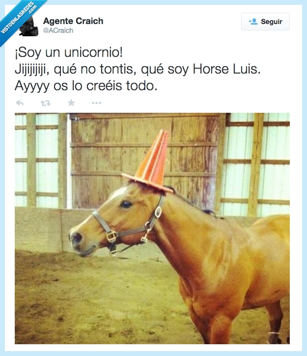 caballo,cono,unicornio,cabeza,horseluis,tontis,absurdo
