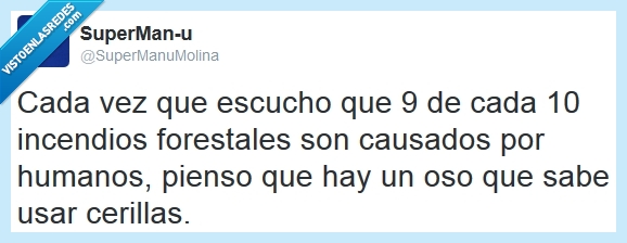 incendio forestal,oso,cerillas,humanos,causantes