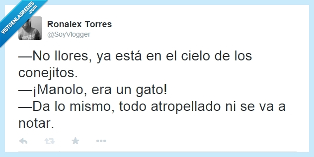 Gato,conejo,atropellado,consolar,twitter,llores,cielo,conejitos,manolo,bestia