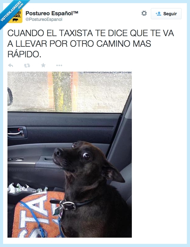 y ahora que hago,susto,mas rapido,otro camino,taxista,pensar como escaparia del taxi,perro,miedo