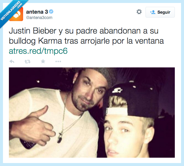 Karma,bulldog,mascota,perro,abandonar,padre,Justin Bieber,ventana