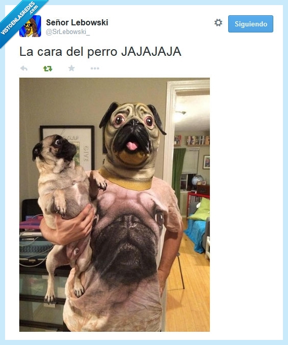 foto,perro,pug,cara,careta,camiseta,conjunto,miedo,carlino,friki