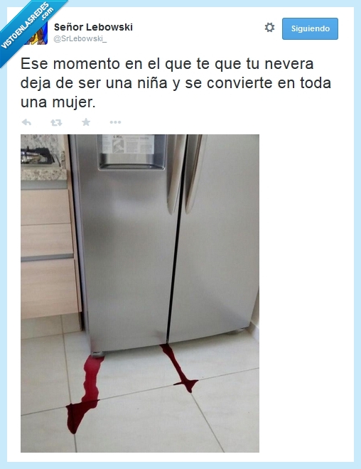 momento,nevera,niña,convierte,convertir,toda,mujer,sangre,menstruacion,primera,menarquia,regla,vino