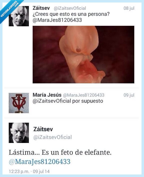 feto,persona,elefante,bebe,cristiano,religion,María Jesus,opus,provida,antiaborto,antiabortista,aborto