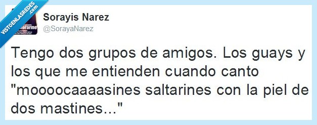 amigos,simpson,guay,grupo,mocasines saltarines,señor burns,cantar,mastines