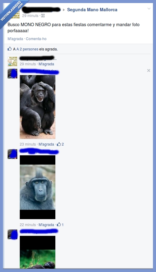 segunda mano,ropa,simio,foto,negro,traje,navidad,mono