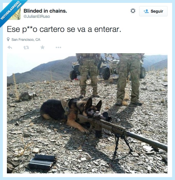 disparar,perro,cartero,Twitter,francotirador,arma,pistola,rifle