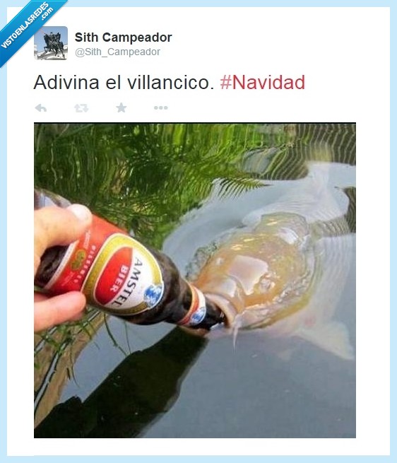 villancico,peces,beben,birra,navidad,rio,beber,amster,cerveza,trucha,pez,pescado