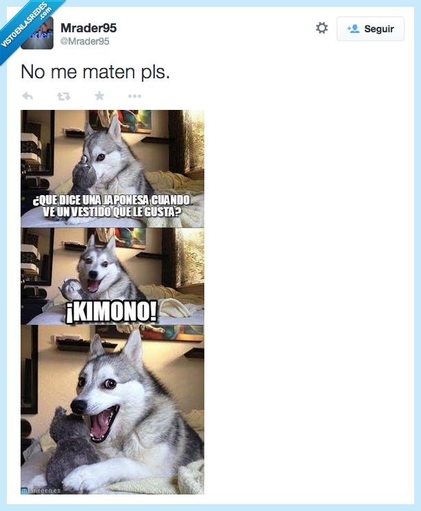 kimono,que mono,japonesa,vestido,gusta,bad pun dog,broma,mala,chiste,malo