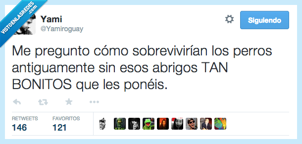 feo,bonito,poneis,chaqueta,abrigo,perros,sobrevivir,sobrevivian,como,pregunto