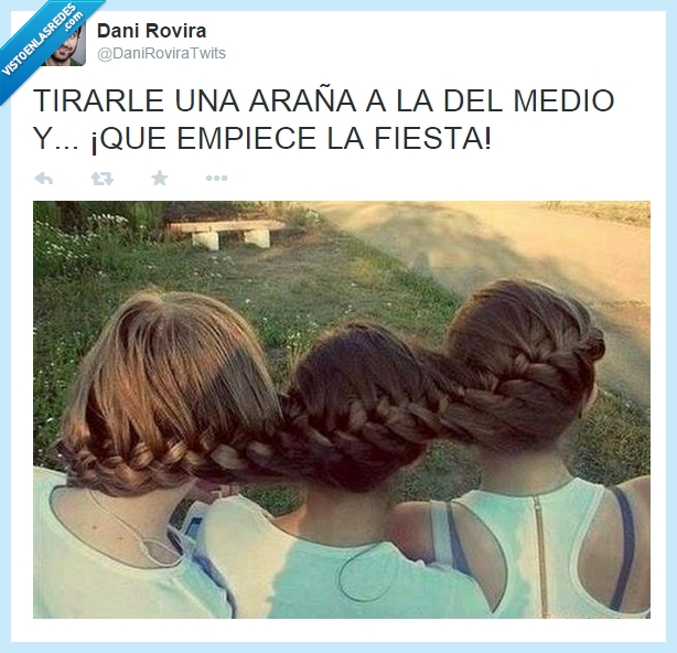 correr,susto,unido,araña,pelo,amiga,chica,trenza