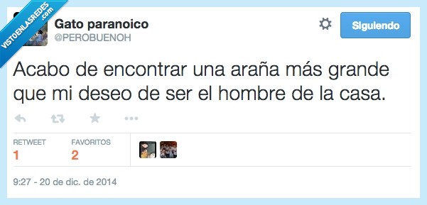 araña,grande,deseo,bicho,hombre,casa,pantalones