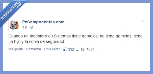 backup,hijos,informaticos,gemelos,copia de seguridad,Ingeniero de sistemas