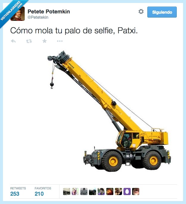 bestia,grua,Bilbao,vasco,Patxi,bruto,palo de selfie