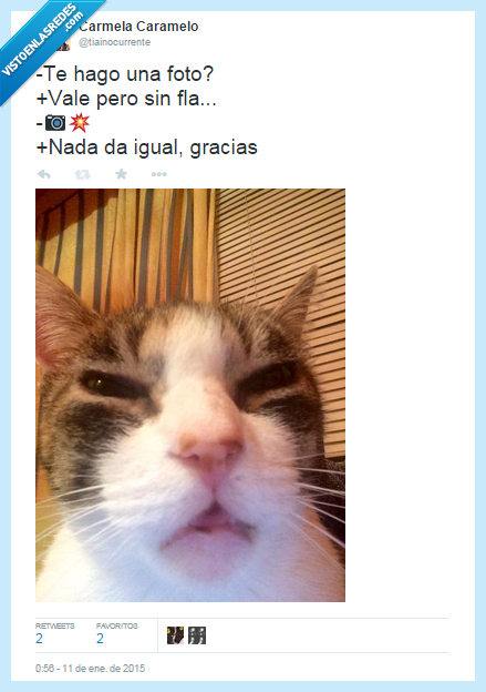 fail,fotografía,feo,ojos,ciego,gato,cara,flash,gracias