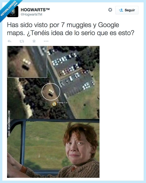 Hogwarts,Ron,coche volador,sauce boxeador,google maps,varita rota