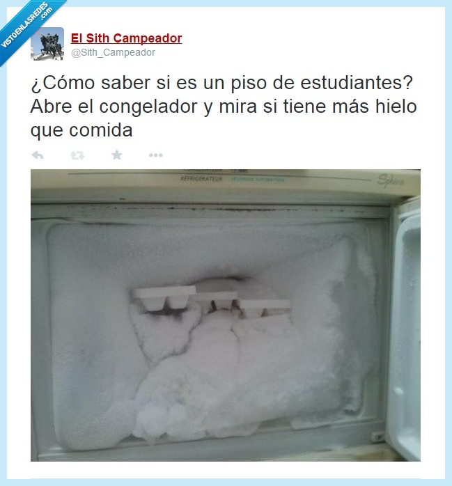 hielo,congelador,estudiantes,piso,comida,descongelar,nevera