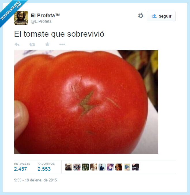 402861 - El tomate que vivió por @EiProfeta