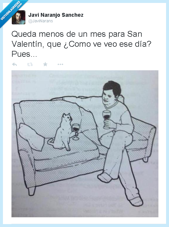 soltero,hombre,solo,gato,san valentin,odio,amor,mujer,soltería