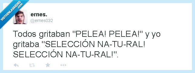 pelea,seleccion,natural,gritar,darwin,darwinismo
