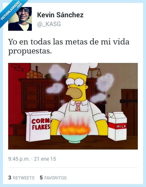 meta,propuesta,viva,objetivo,homer simpson,cereales,corn flakes,leche,fuego,desastre,fail