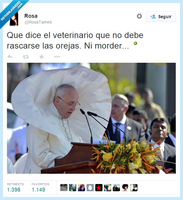 papa Francisco,veterinario,cono,morder,operacion,perro,perros con altavoz