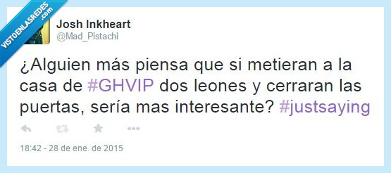 diversión,romano,circo,basura,hermano,gran,leones