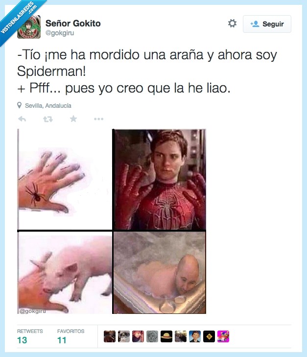 kiko rivera,cerdo,araña,spiderman,picar,morder