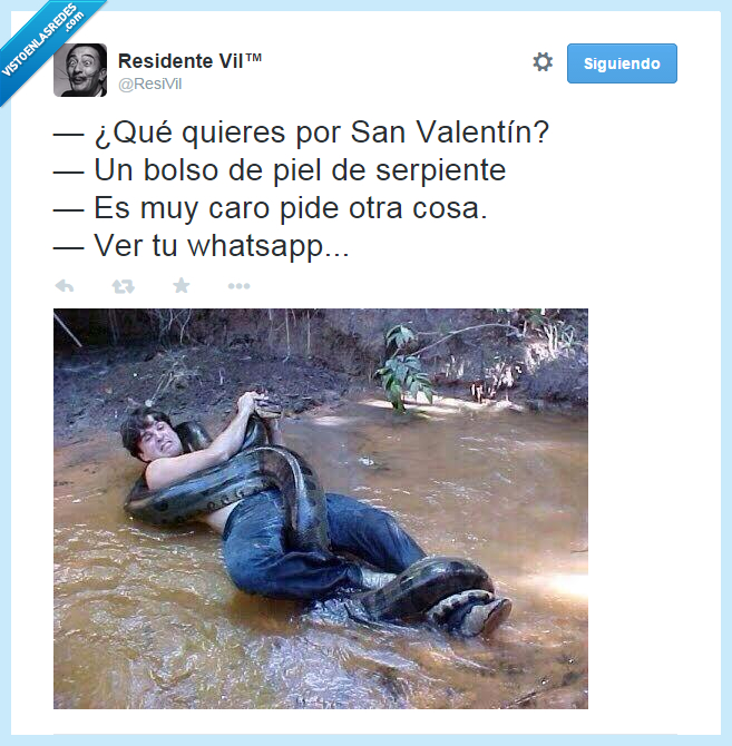 bolso,piel,serpiente,enamorados,regalo,San Valentín,luchar,whatsapp,mensajes