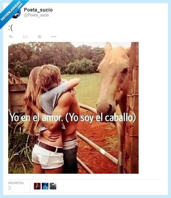 Caballo,amor,relaciones,parejas,novio,soltero