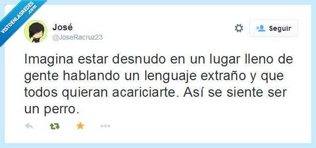 Twitter,perro,desnudo,acariciar,siente,sentir,lenguaje