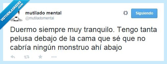 dormir,suciedad,monstruo,pelusa,cama,miedo,debajo,entrar,caber